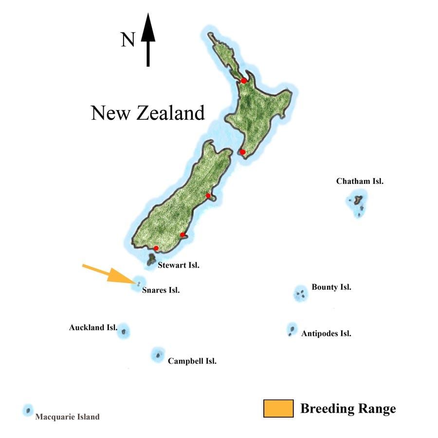Kaart van nieu-seeland en die omliggende eilande