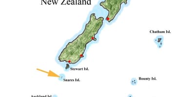 Kaart van nieu-seeland en die omliggende eilande